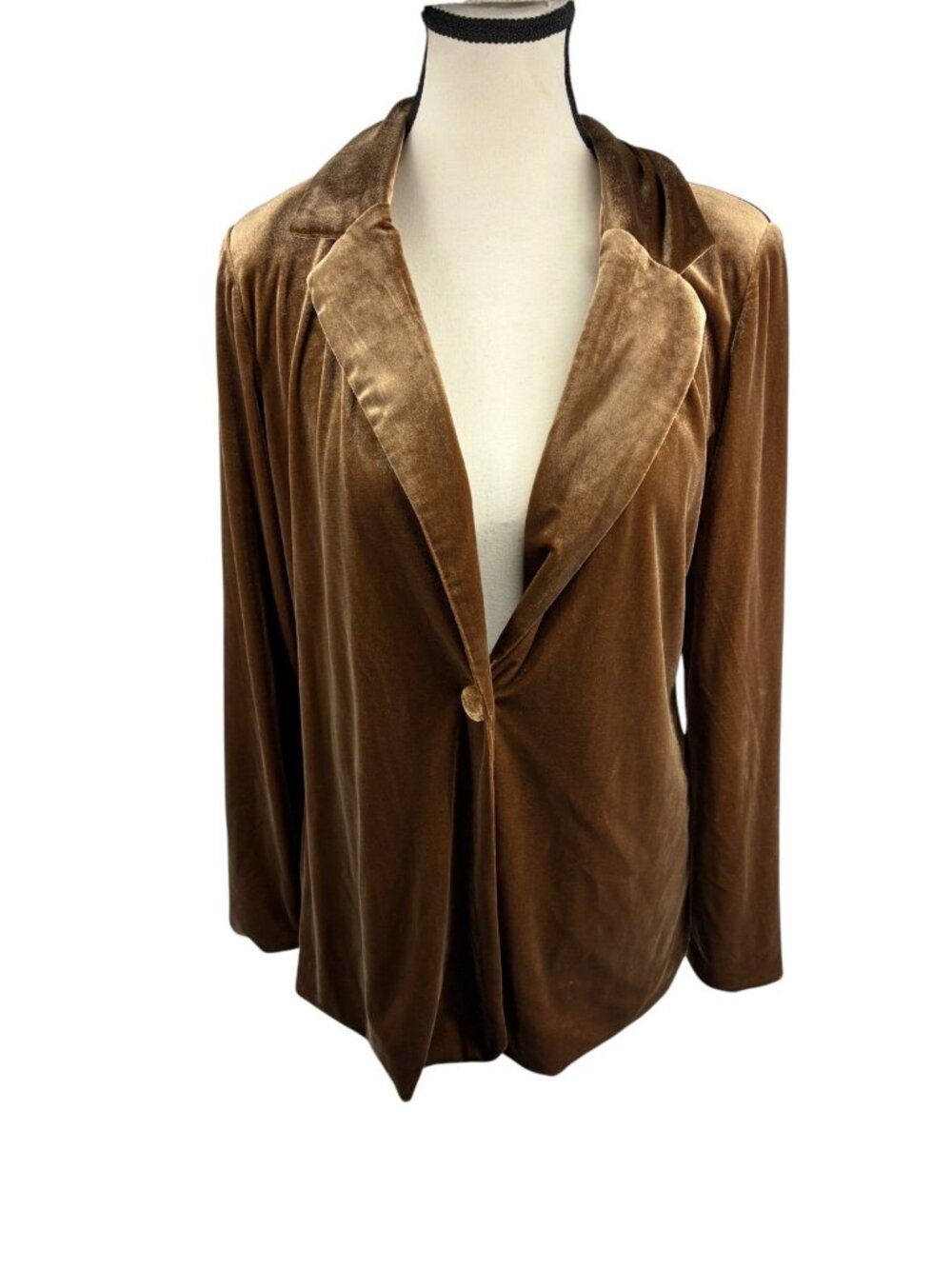 Sadie & Sage Womens Brown Velvet Blazer Jacket Single Button Size M Bohemian - Picture 2 of 9